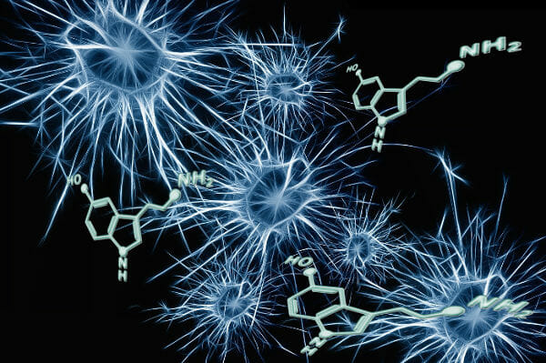 O que é a serotonina e por que ela é tão importante?